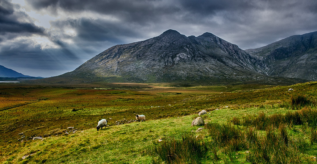 Connemara, Co. Galway, Irland