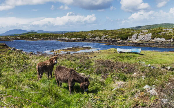 Connemara
