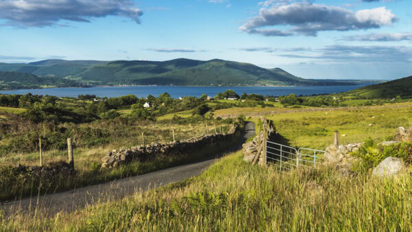 Cooley Peninsula