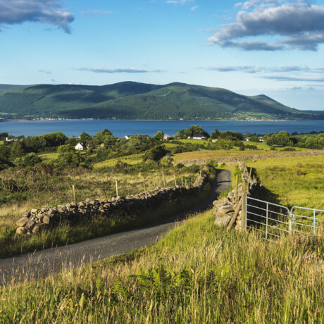 Cooley Peninsula