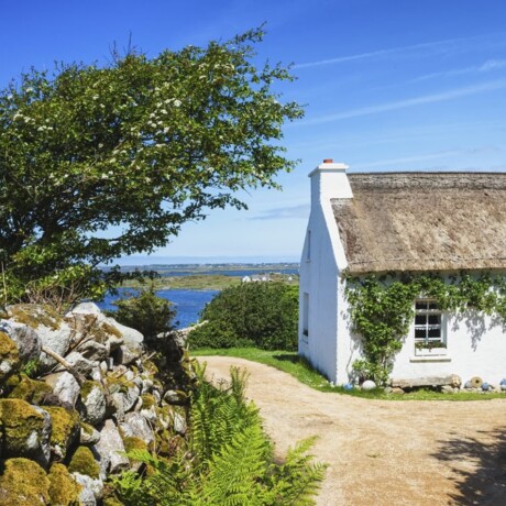 Donegal Cottage