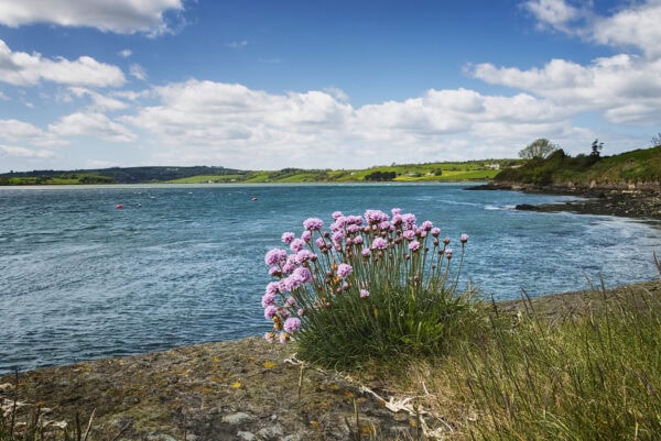 Courtmacsherry Harbour