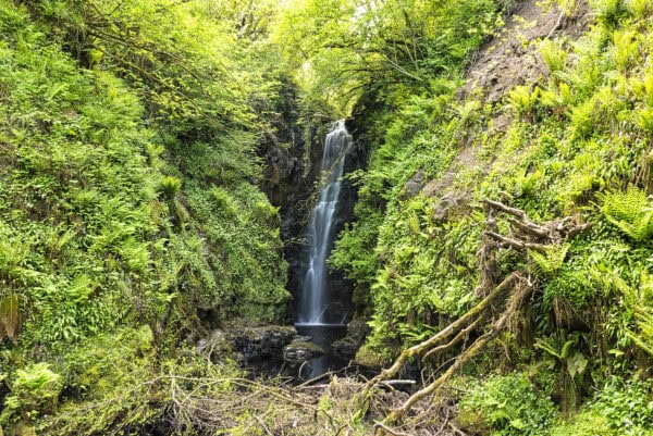 Cranny Falls