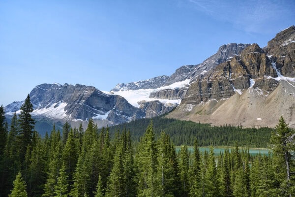 Crowfoot Glacier