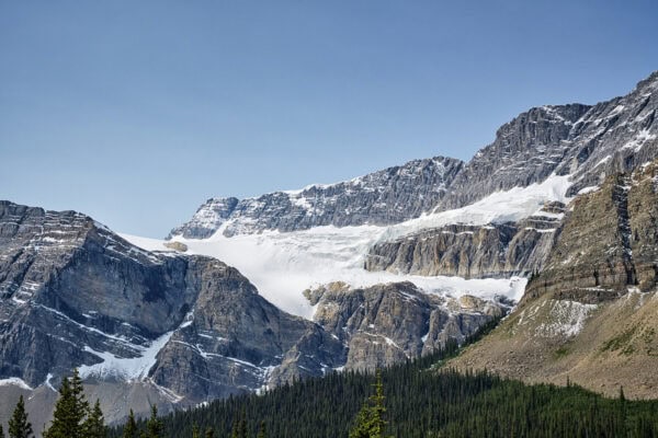 Crowfoot Glacier