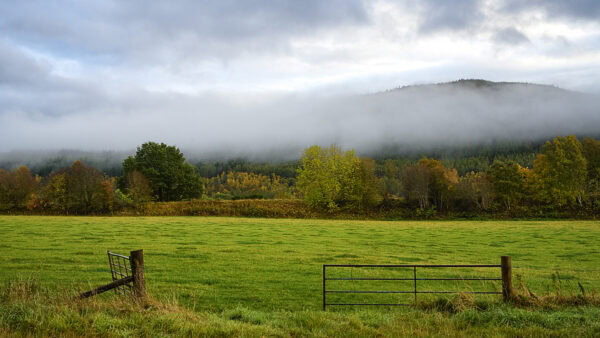 Deeside
