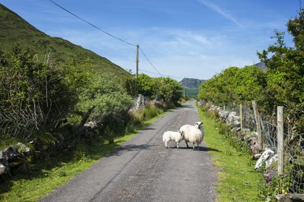 Dingle Backroads