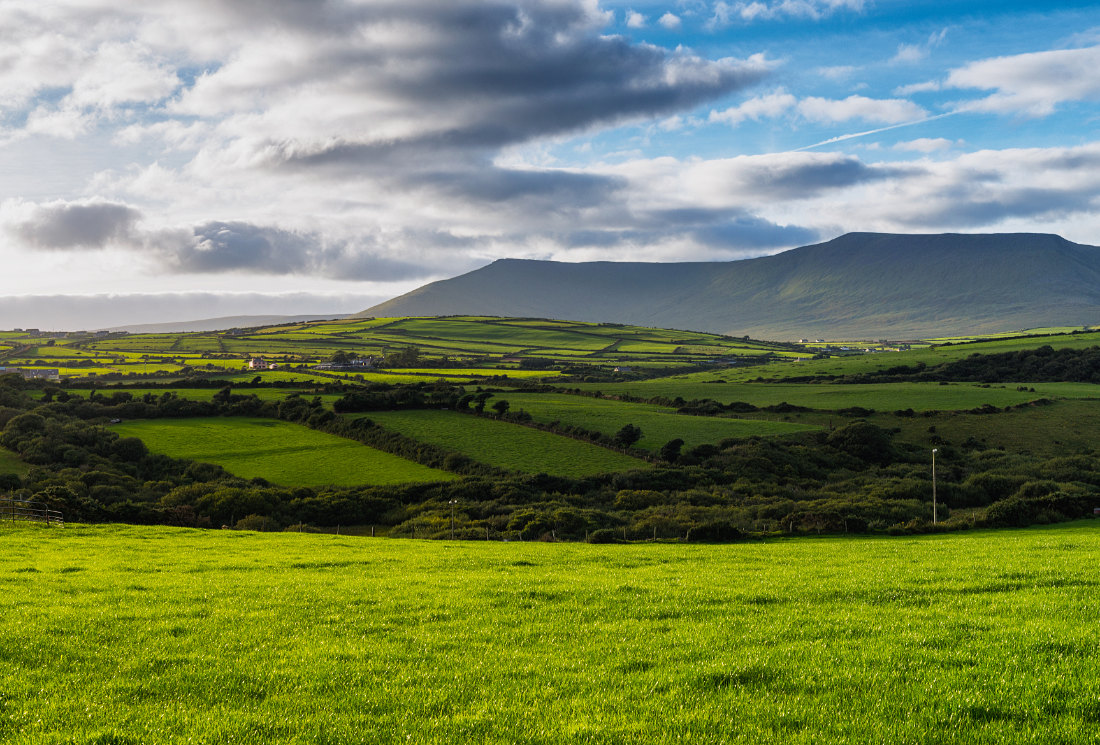 Grüne Hügel auf der Dingle Halbinsel, Co. Kerry, Irland