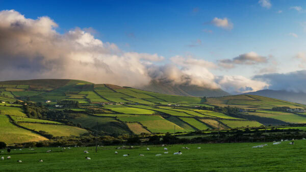 Dingle Peninsula