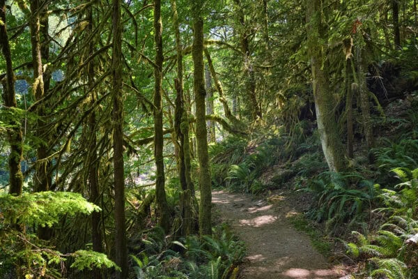 Elk Falls Provincial Park