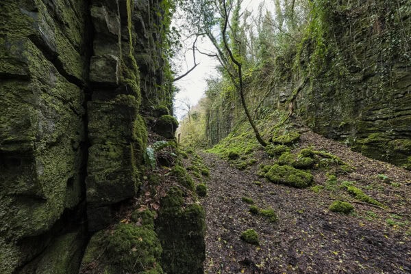 The Fairy Glen