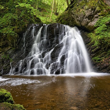 Fairy Glen