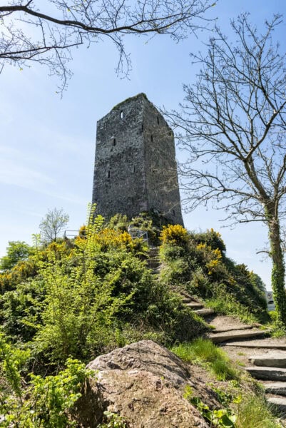 Ferrycarrig Tower House