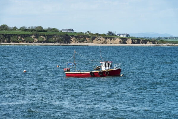 Fethard Harbour