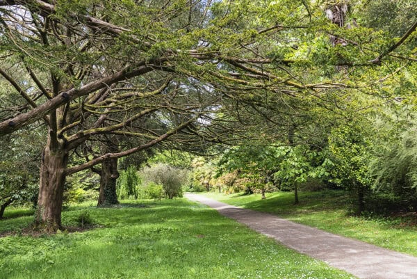 Fota Arboretum & Gardens