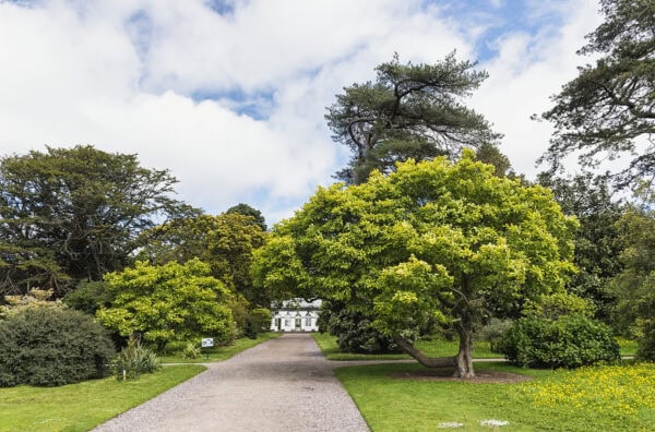 Fota Arboretum & Gardens