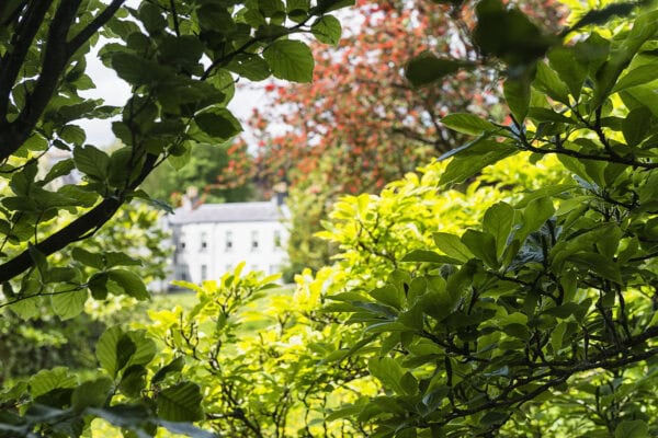Fota Arboretum & Gardens