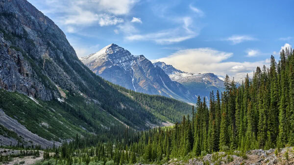 Franchère Peak