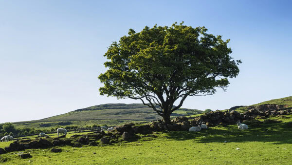 Garron Plateau
