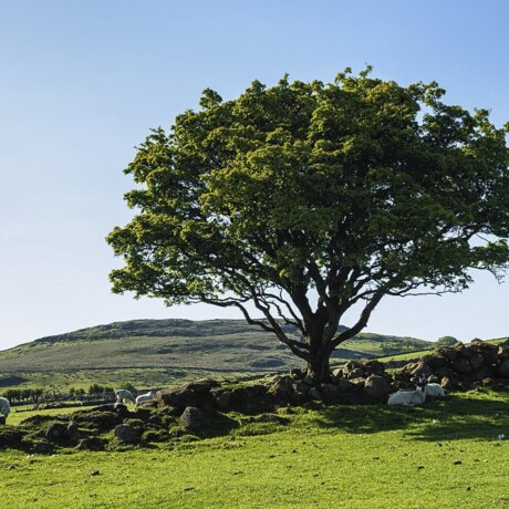 Garron Plateau