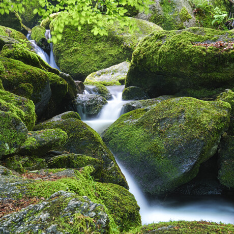 Gertelbach Wasserfälle
