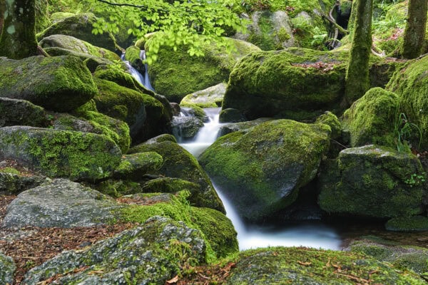 Gertelbach Wasserfälle
