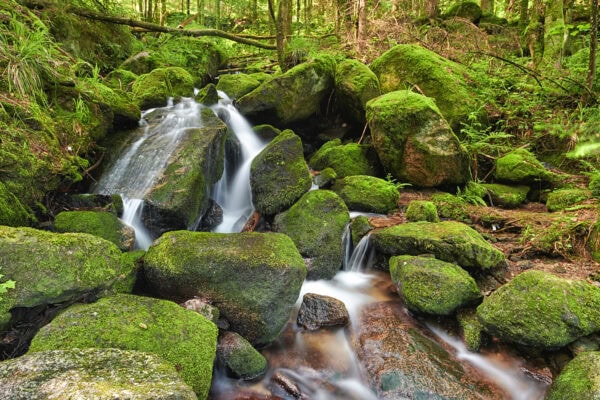 Gertelbach Wasserfälle