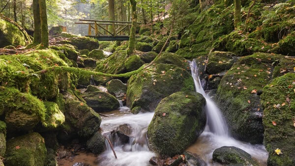 Gertelbachschlucht