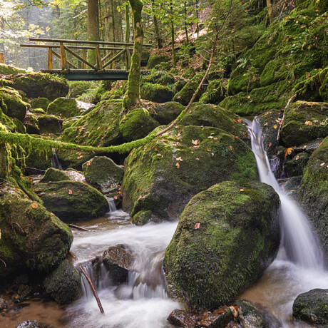 Gertelbachschlucht
