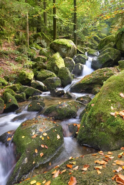 Gertelbachschlucht