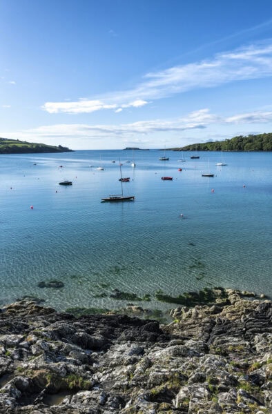 Glandore