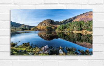 Glanteenassig Forest Park - Photo of Ireland