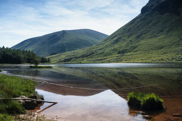 Glanteenassig Forest Park