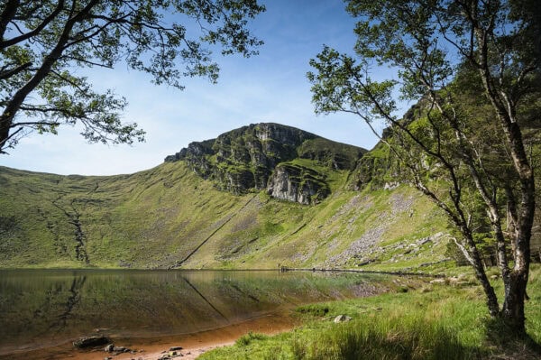 Glanteenassig Forest Park
