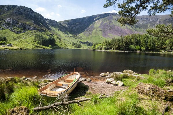 Glanteenassig Forest Park