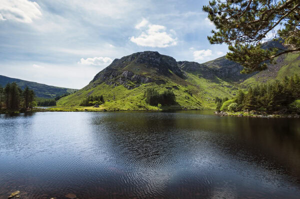 Glanteenassig Forest Park