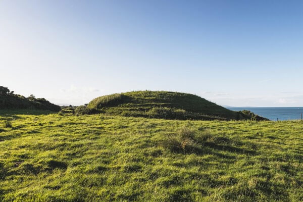 Norman Motte Glasscarrig