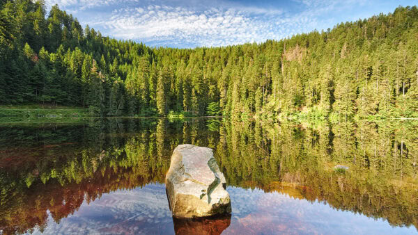 Glaswaldsee