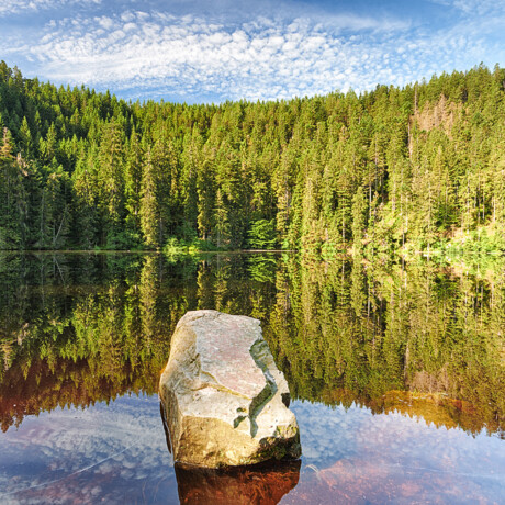 Glaswaldsee