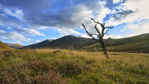 Glen Clunie