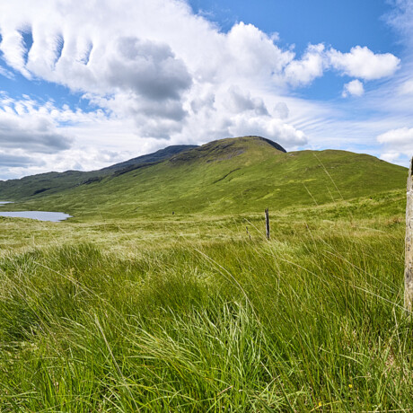 Glen More