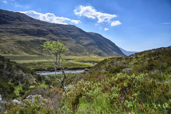Glen Torridon