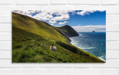 Great Blasket Island - Irland Foto