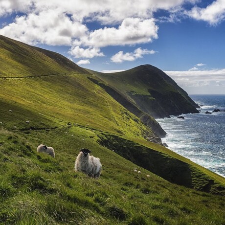 Great Blasket Island