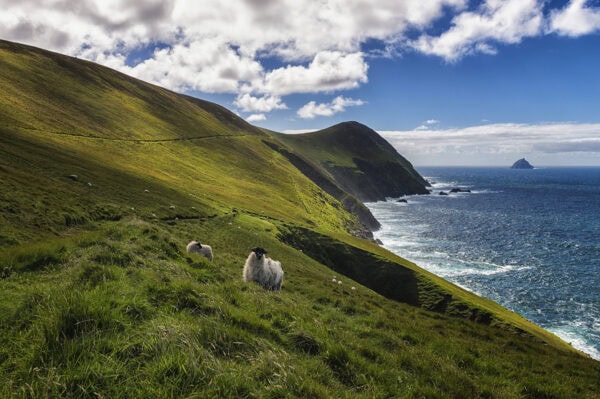 Blasket Islands