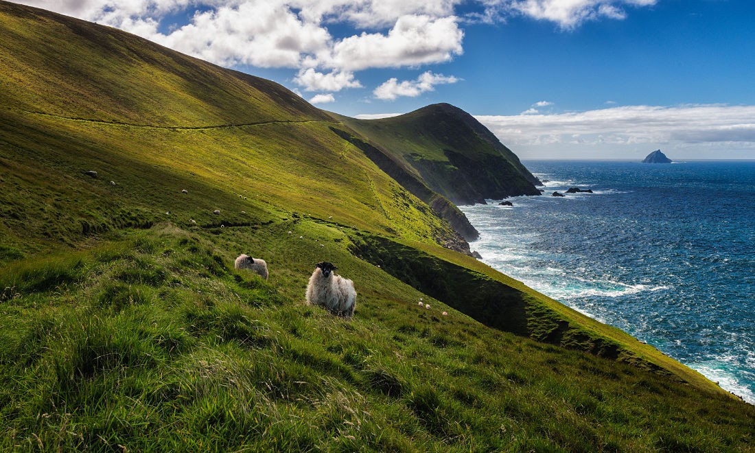 Sorrowful Cliffs auf Great Blasket Island, Co. Kerry, Irland