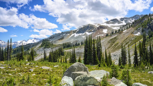 Whistler Mountain
