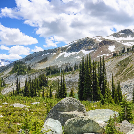 Whistler Mountain