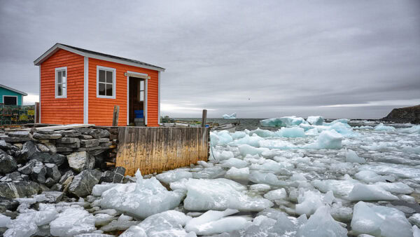 Hay Cove Iceberg