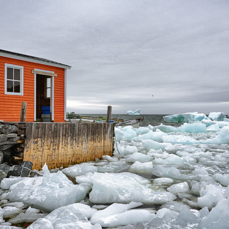 Hay Cove Iceberg